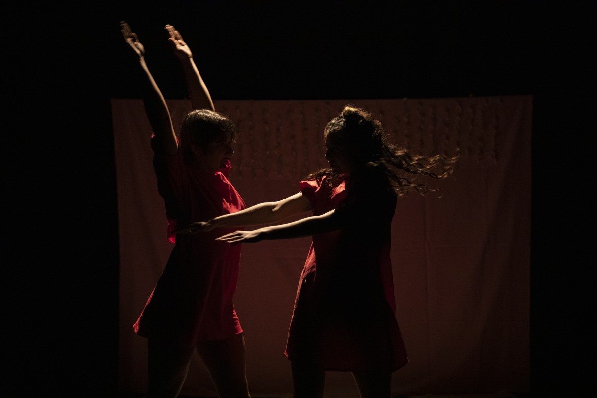 Image from Daisies Decline