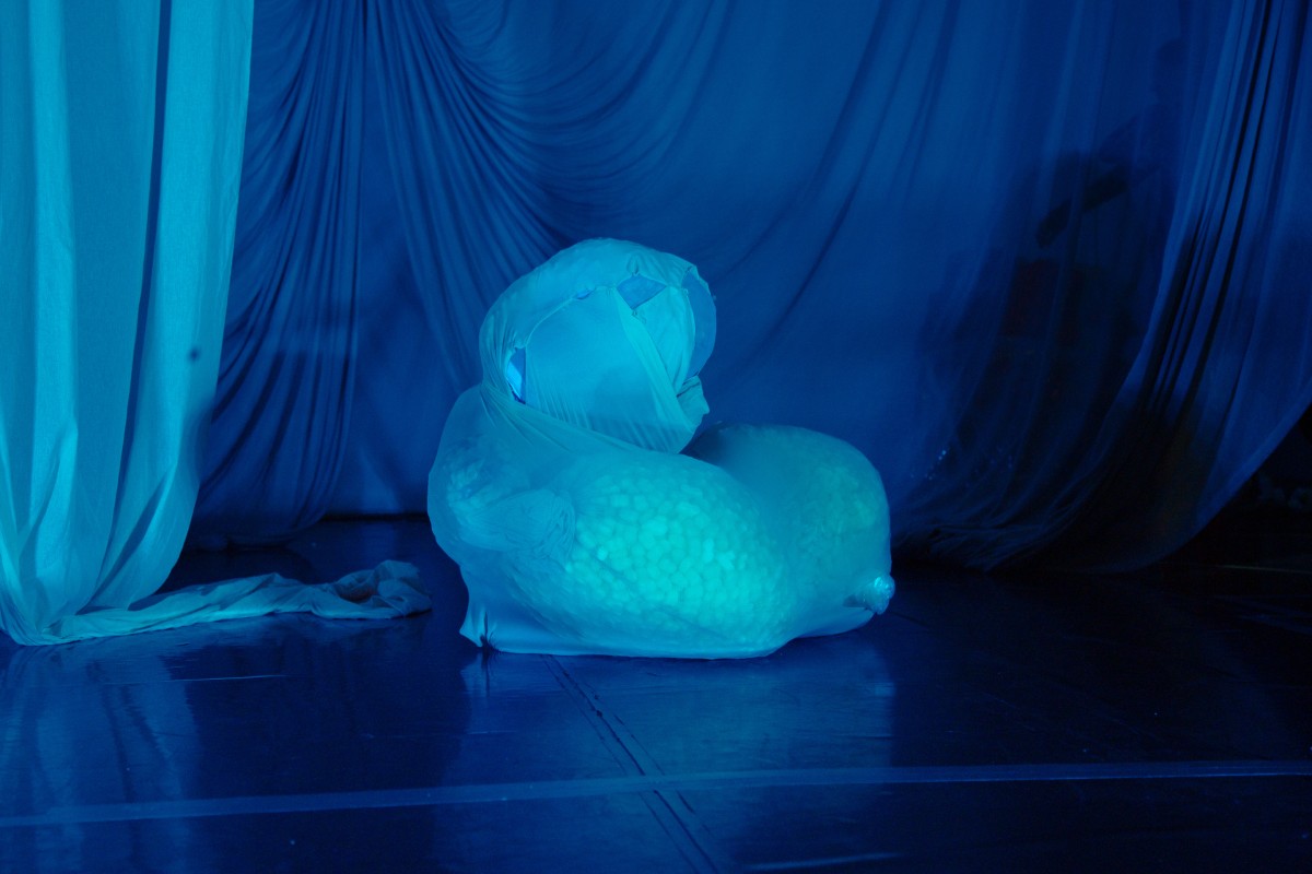 Image from SPEZIES. Ein Abend über Tiere