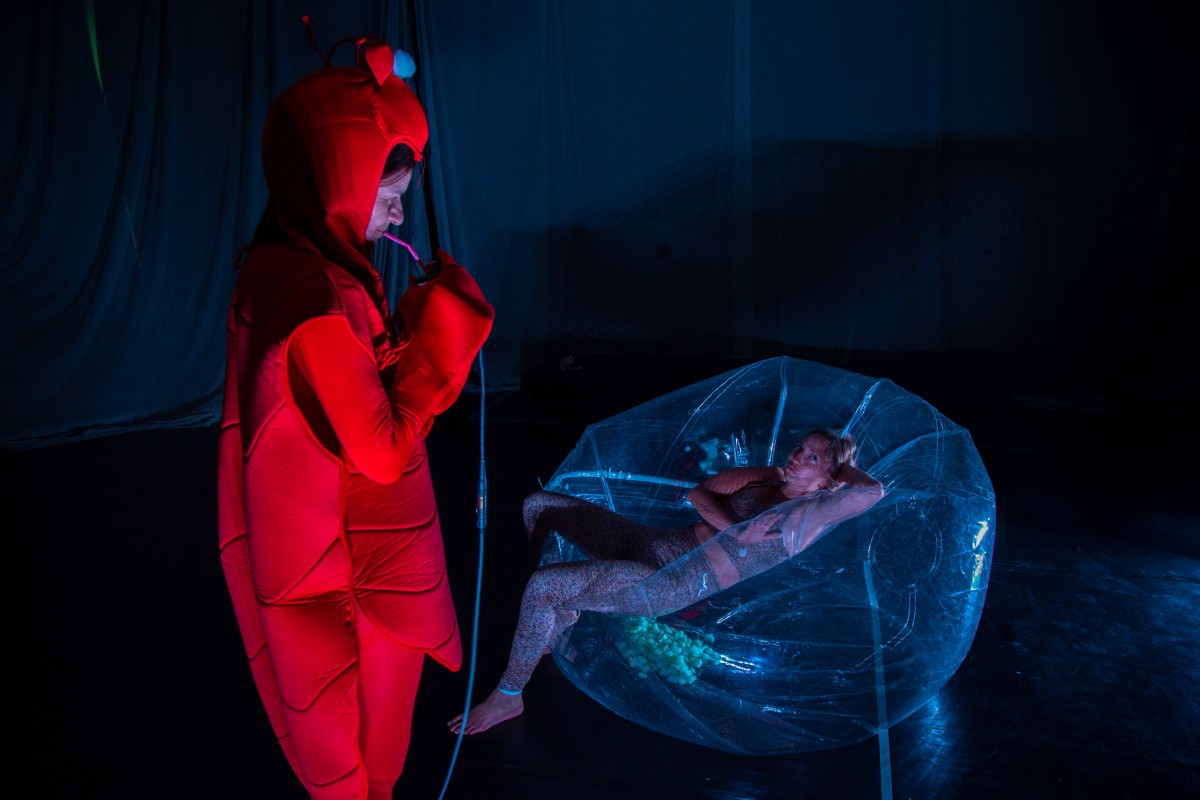 Image from SPEZIES. Ein Abend über Tiere