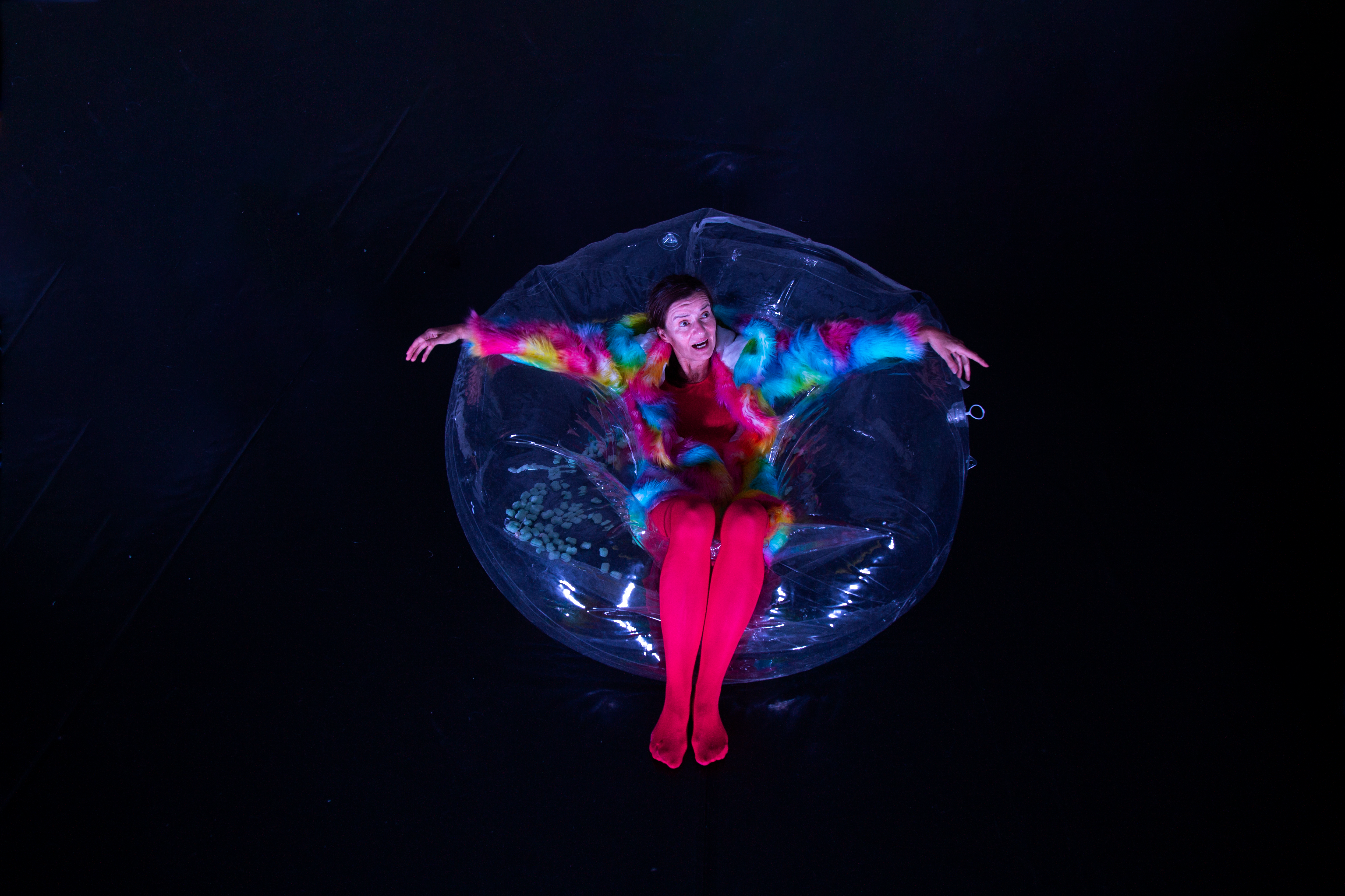 Image from SPEZIES. Ein Abend über Tiere