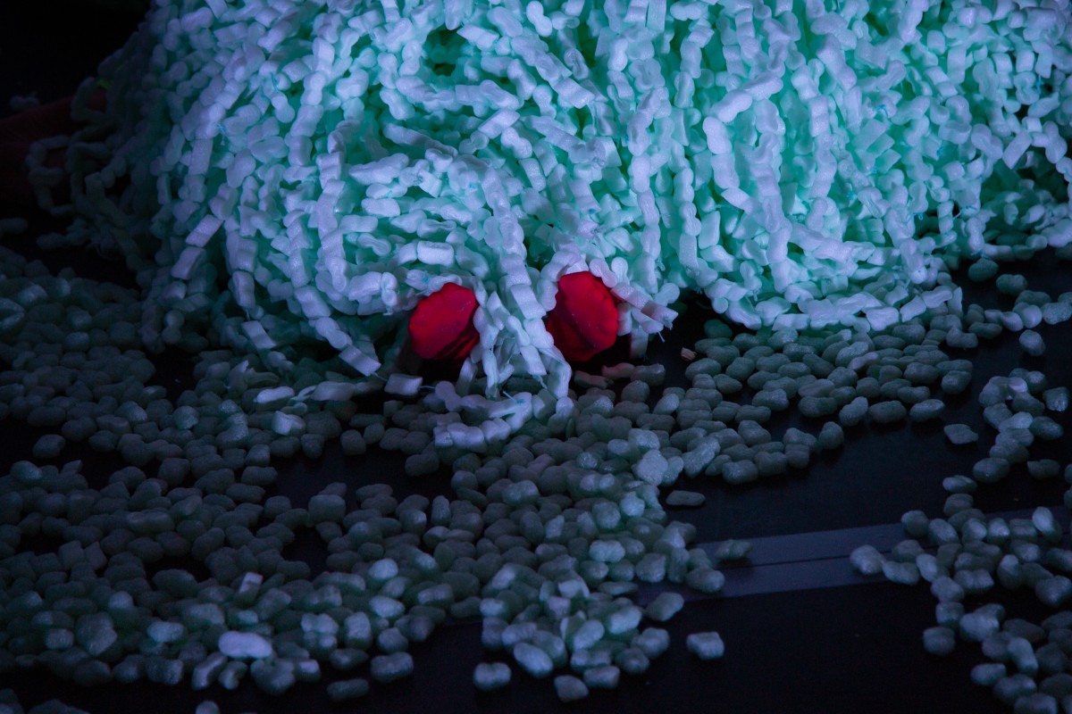 Image from SPEZIES. Ein Abend über Tiere