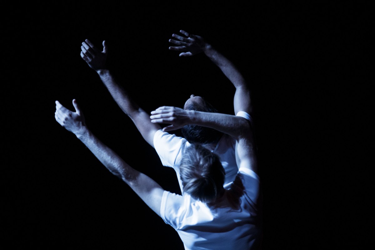 Image from Les papillons la nuit