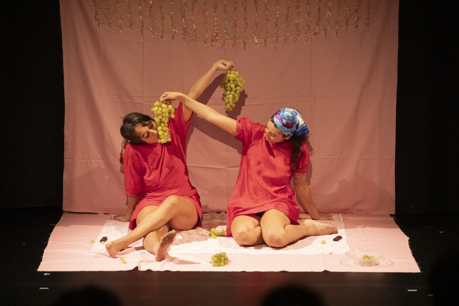 Image from Daisies Decline